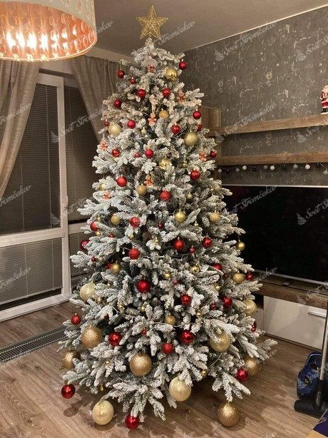 Choinka sztuczna PE Świerk Królewski 240cm