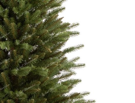 Choinka sztuczna PE Świerk Slim 240cm