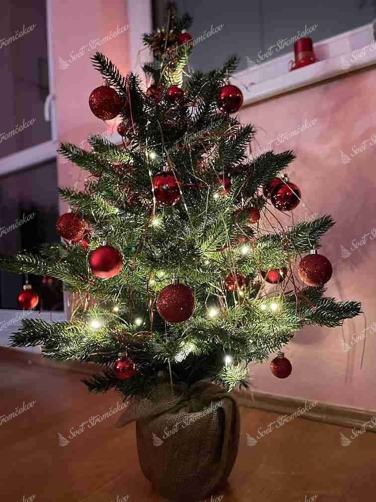 Choinka sztuczna PE Mini Jodełka 90cm LED50