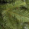 Choinka sztuczna PE Jodła Kaukaska Wąska 240cm