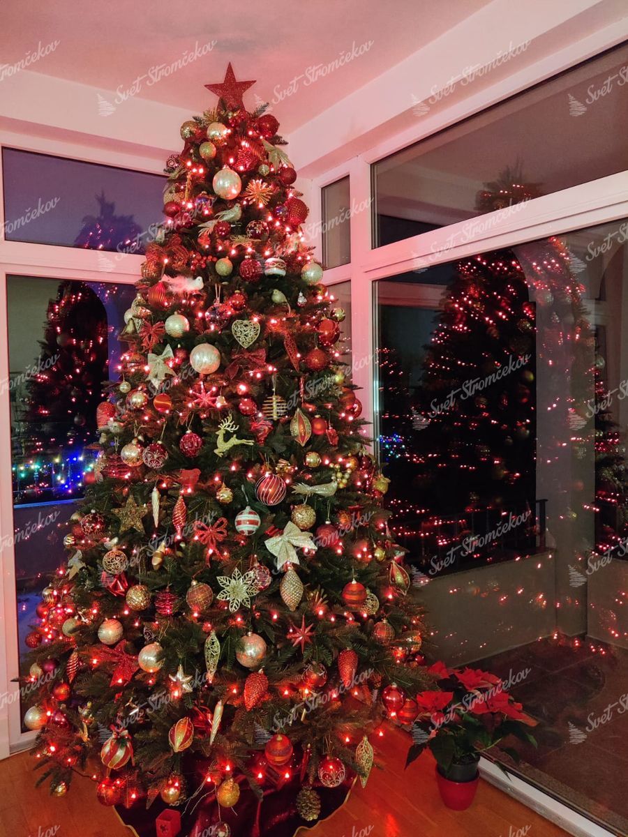 Umelý vianočný stromček 3D Jedľa Normandská XL 280cm je husto ozdobený červenými a zlatými ozdobami.