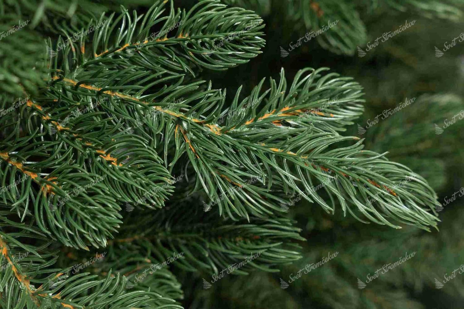 Detail vetvičky vianočného stromčeka FULL 3D Smrek Bavorský.