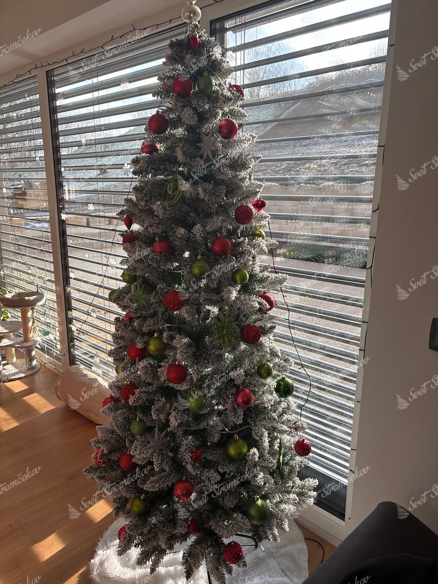 Umelý vianočný stromček Smrek Biely Úzky 210cm je ozdobený červenými a zelenými vianočnými guľami.
