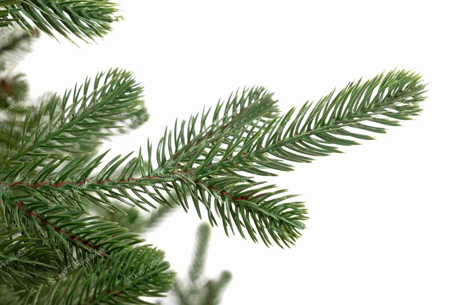 Detail vetvičky vianočného stromčeka v kvetináči 3D Smrek Tirolský, ihličie má prirodzenú zelenú farbu