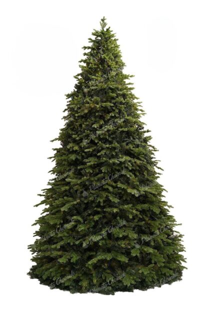 Choinka sztuczna gigantyczna PE Świerk Exclusive 400cm
