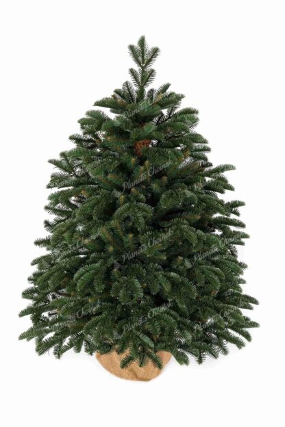 Choinka sztuczna w doniczce PE Jodła Wdzięczna 80cm