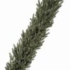 Girlanda świąteczna 100% PE Świerk Alpejski 100cm