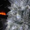 Lampki na choinkę NANO LED zimna biel 24m 800LED