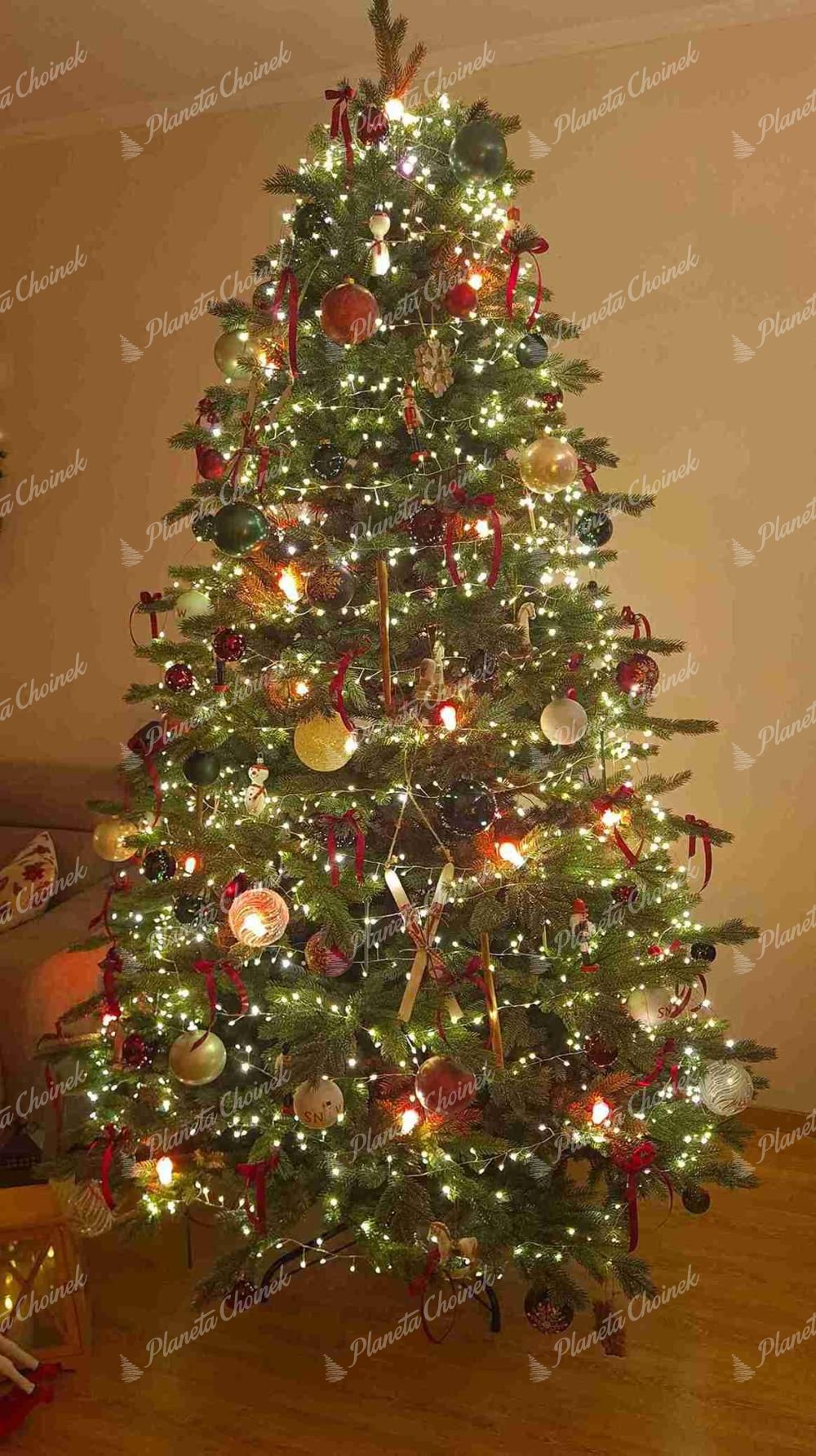 Choinka sztuczna 100% PE Świerk Ekskluzywny 240cm