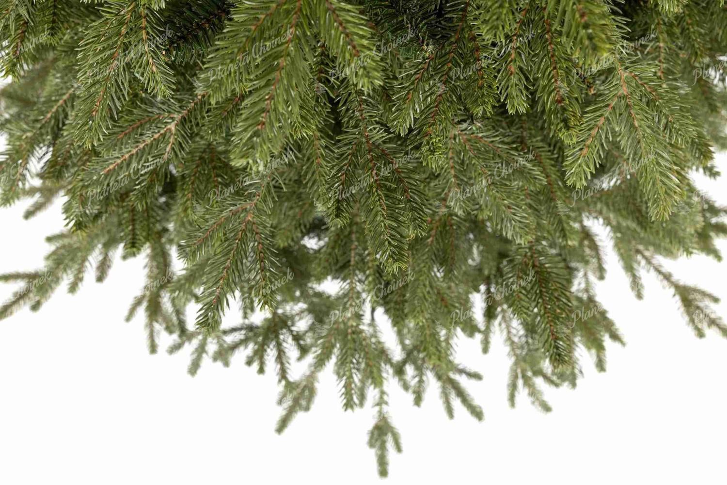 Detal sztucznej choinki PE Świerk Apeniński na pniu, Gęste gałązki mają naturalny zielony kolor.