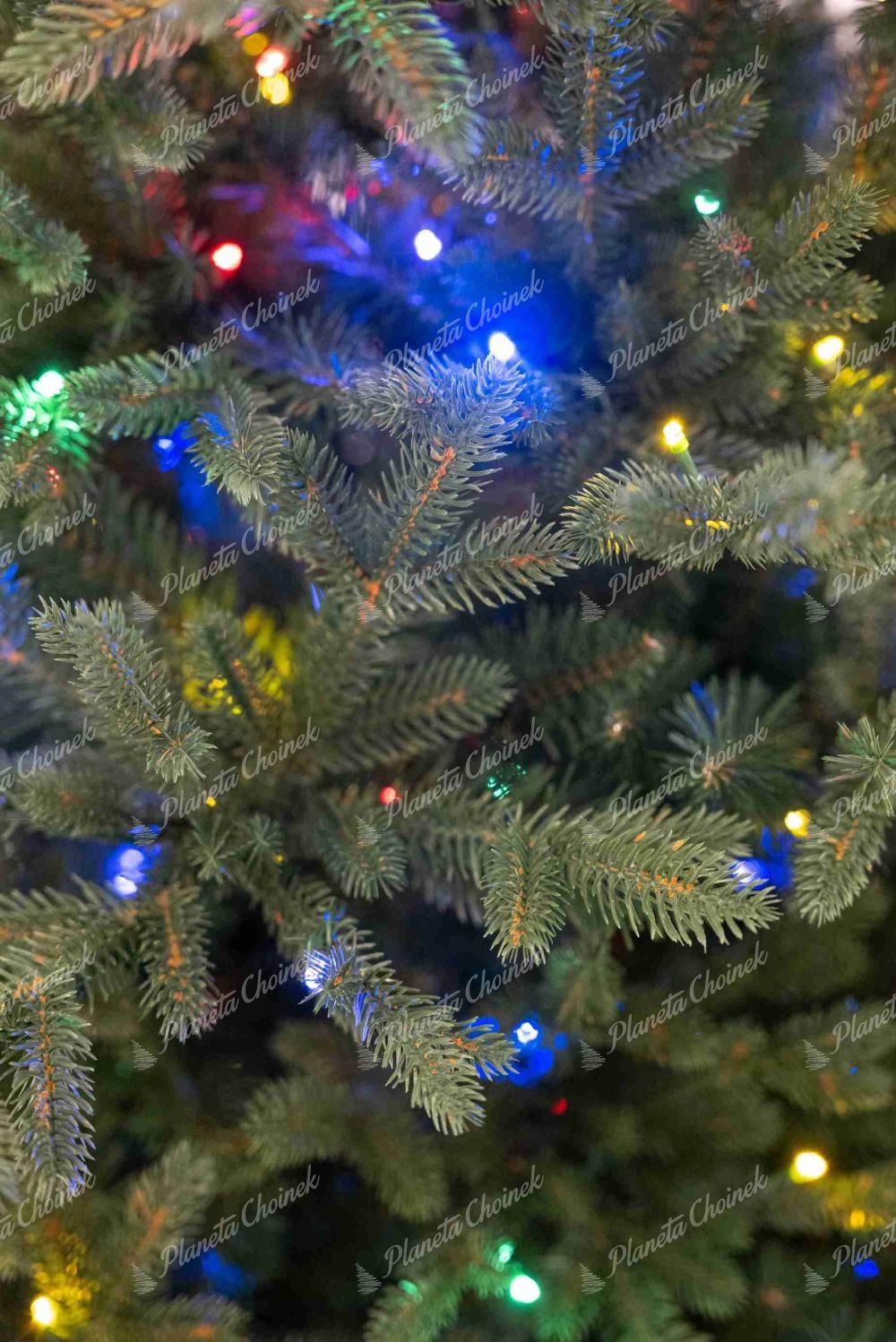 Detal sztucznej choinki PE Świerk Estoński LED, Gęste gałązki mają naturalny zielony kolor